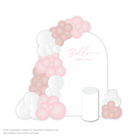 Load image into Gallery viewer, Solo Backdrop Package - Pink