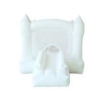 Load image into Gallery viewer, Infant Bounce House